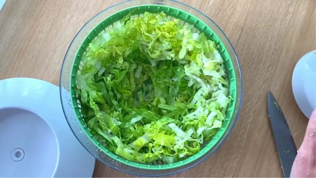 spin lettuce