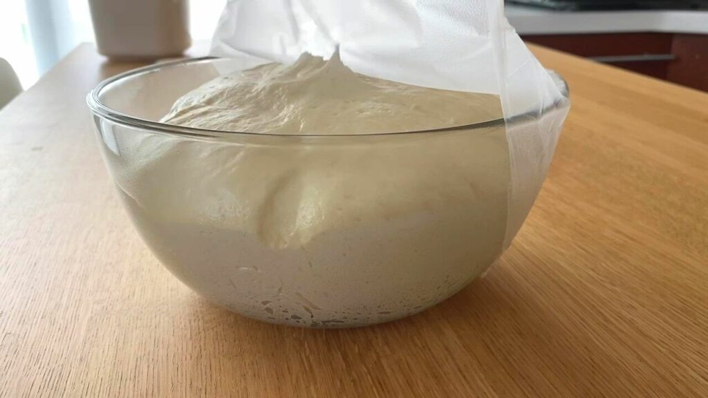 dough doubled in size