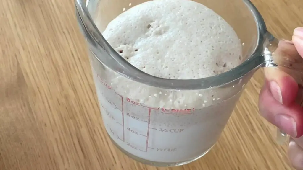 yeast after rise