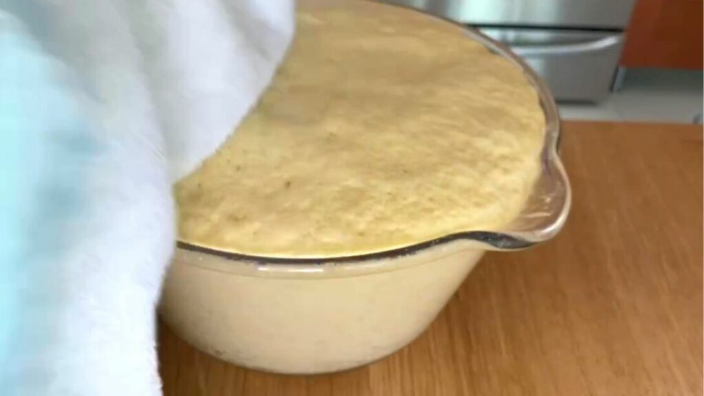 polish yeast cake - doubled in size