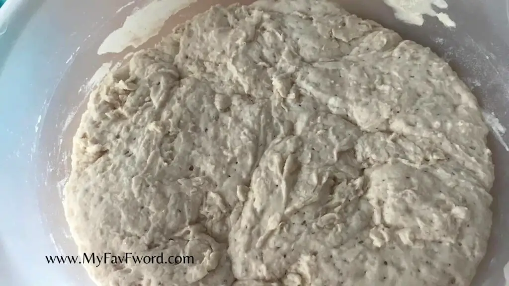 dough after 14 hours