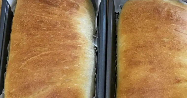 High Protein Sandwich Bread